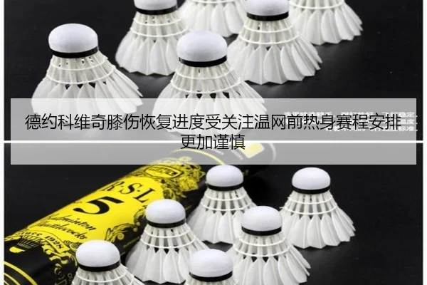 德约科维奇膝伤恢复进度受关注温网前热身赛程安排更加谨慎