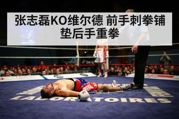 张志磊KO维尔德 前手刺拳铺垫后手重拳