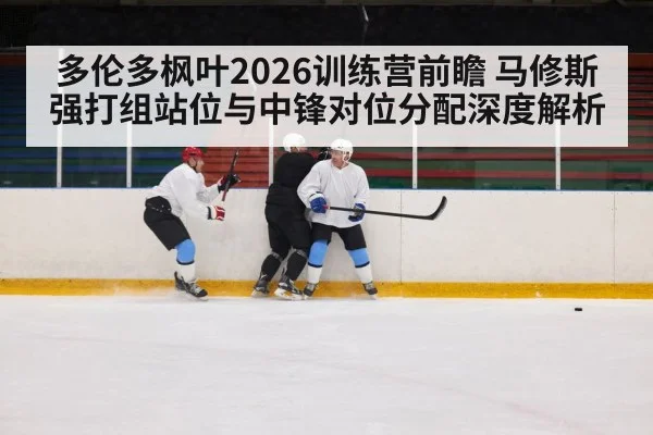 多伦多枫叶2026训练营前瞻 马修斯强打组站位与中锋对位分配深度解析